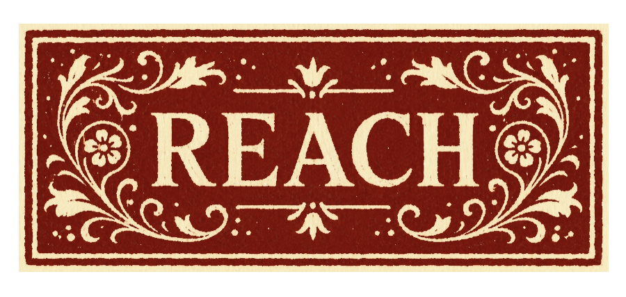 Logo design and motion direction by Chalice Studio